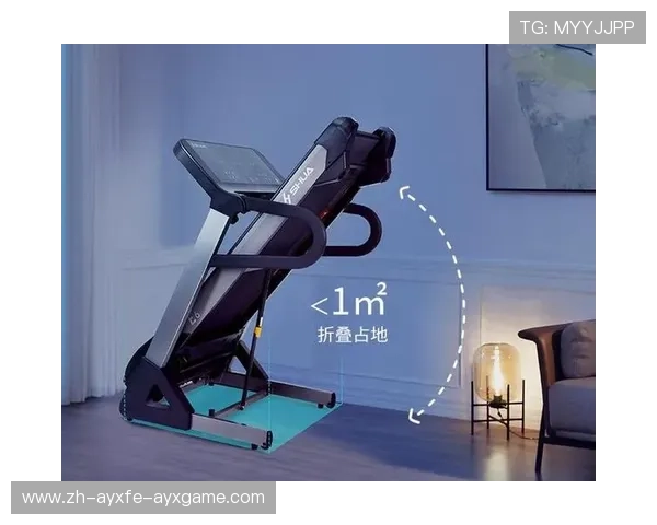 高效腰腹训练器械精选助你打造核心力量